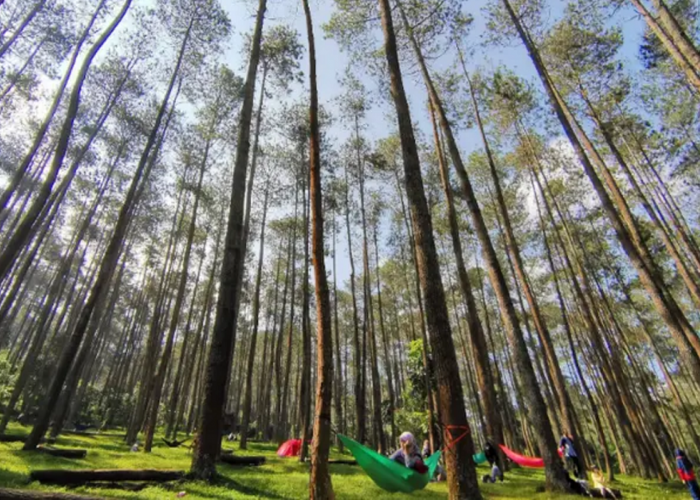 Wisata Seru Batu Kuda Bandung: Aktivitas Camping Seru Bareng Teman untuk Akhir Pekanmu, Cek Disini