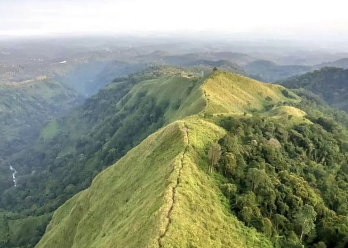 5 Daftar Tempat Wisata Seru di Mojokerto untuk Liburan Kamu dengan Keluarga, Cek Disini