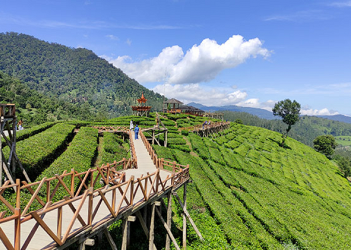 Keajaiban Alam dan Sensasi Wisata Dataran Tinggi Pangalengan, Cek Info Selengkapnya Berikut Ini