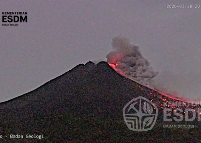 Awan Panas Guguran Gunung Merapi Terjadi Dua Kali, Jarak Luncur Capai 1,4 Km