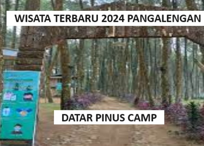 Suka Camping? Wisata Terbaru 2024, Datar Pinus Camp Pangalengan Cocok Untuk Menginap di Alam Bebas! 
