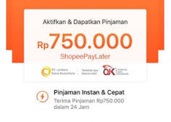 Penasaran Cara Penggunaan Shopee PayLater Untuk Pemula, Agar Gampang Berbelanja Online