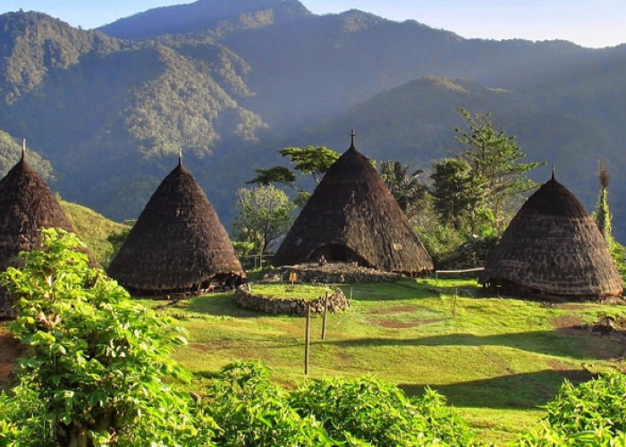 Menjelajah Keindahan Desa Adat Wae Rebo Flores di Hunian Kerucut Legendaris Warisan UNESCO