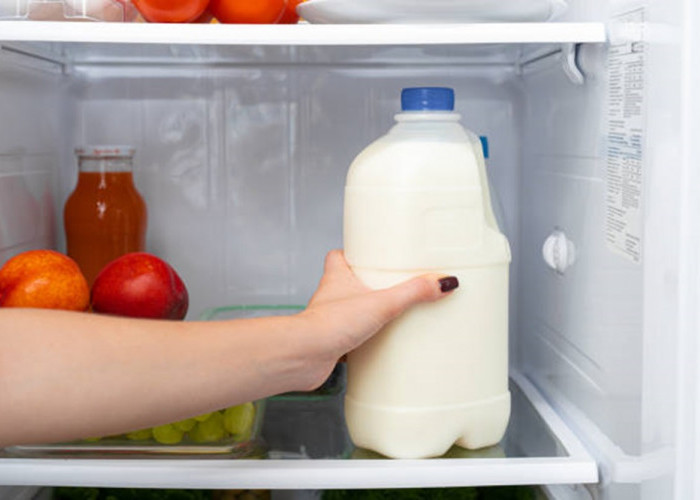 6 Cara Tepat Menyimpan Susu Dalam Merek Kulkas Terbaik Agar Tidak Mudah Basi