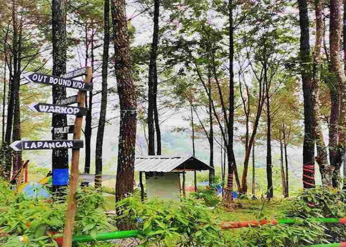 5 Destinasi Liburan Seru di Trawas Mojokerto, Cocok untuk Para Pecinta Alam Menghabiskan Waktu