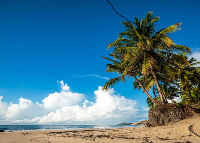 Wisata Pantai Umbul Waru Blitar: Pesona Harmonis Air Laut Biru, Simak Aktivitas Menariknya Disini