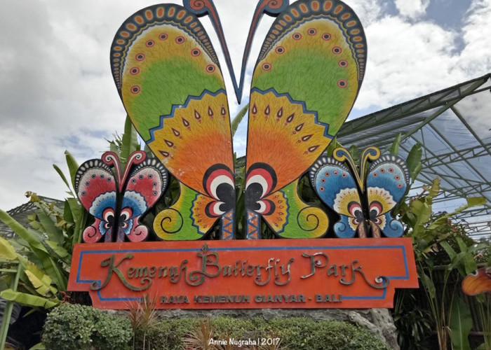 7 Destinasi Wisata Taman Kupu-kupu di Indonesia, Bisa Dikunjungi Bareng Keluarga atau Orang Terdekat