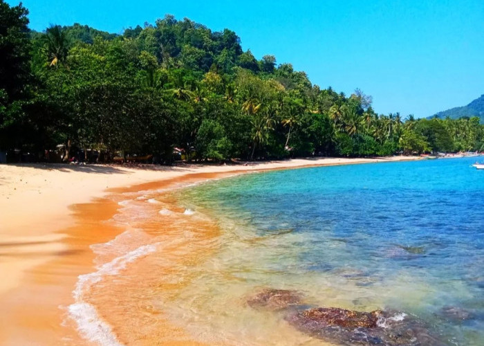 Wisata Terbaru 2024? 10 Rekomendasi Wisata Pantai Terindah Di Trenggalek Jawa Timur, Simak Ulasan Lengkapnya