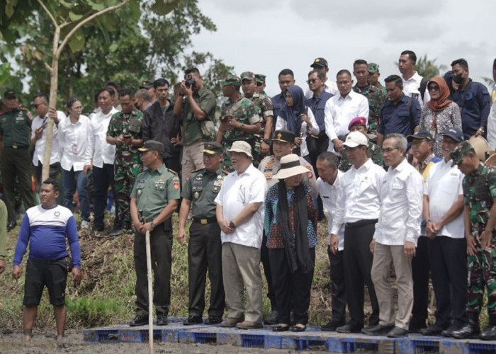 Gerakan Tanam Padi, Upaya Pemda DIY Tentang Komitmen Keberlanjutan Sektor Pertanian di Yogyakarta