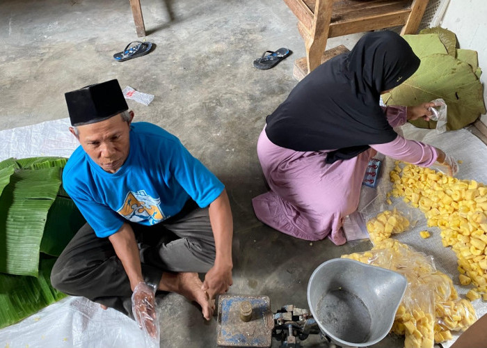 Pasangan Lansia di Bantul Menjaga Tape Singkong 40 Tahun di Tengah Gempuran Zaman