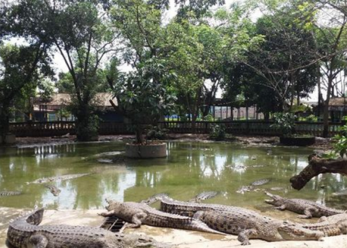 Rekomendasi Tempat Wisata di Bekasi Hits ini Destinasi Instagramable untuk Liburan Keluarga