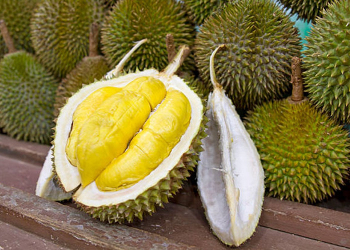 6 Tempat Makan Durian Enak di Jogja Punya Banyak Pilihan, Lidah Dijamin Puas