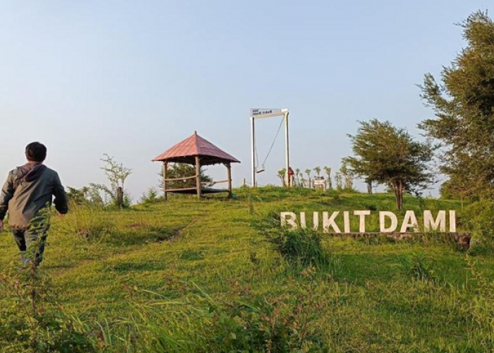 Destinasi Terbaik Menikmati Senja yang Menenangkan di Jawa Timur Lewat Wisata Bukit Dami Probolinggo