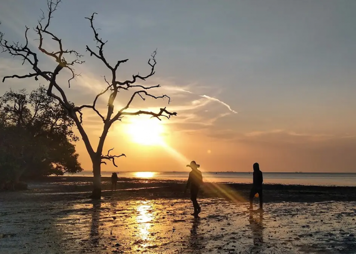 5 Objek Wisata Terbaru 2024 Pantai Eksotis Probolinggo, No. 5 Langganan Foto Prewed