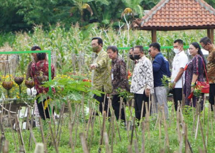 Naikkan Kemandirian Pangan, DKPP Yogyakarta Upayakan Perluasan Program Lumbung Mataraman