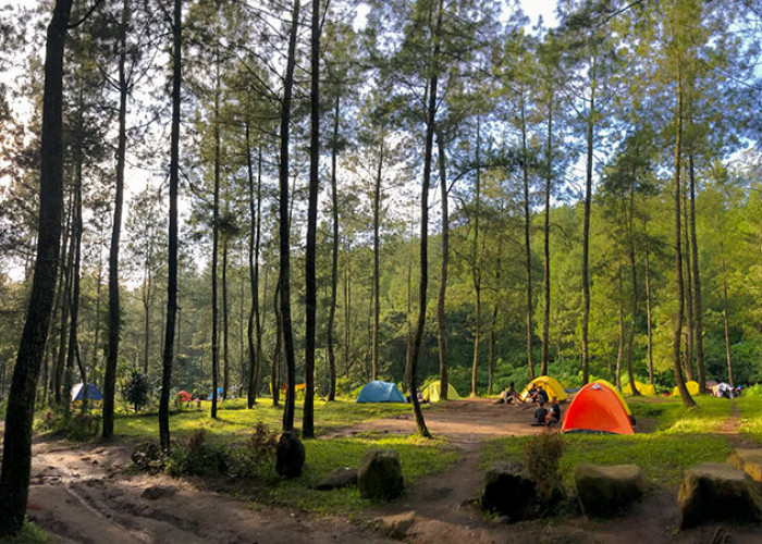 Keseruan Liburan Camping, Wisata Terbaru 2024 Bedengan Malang Jawa Timur