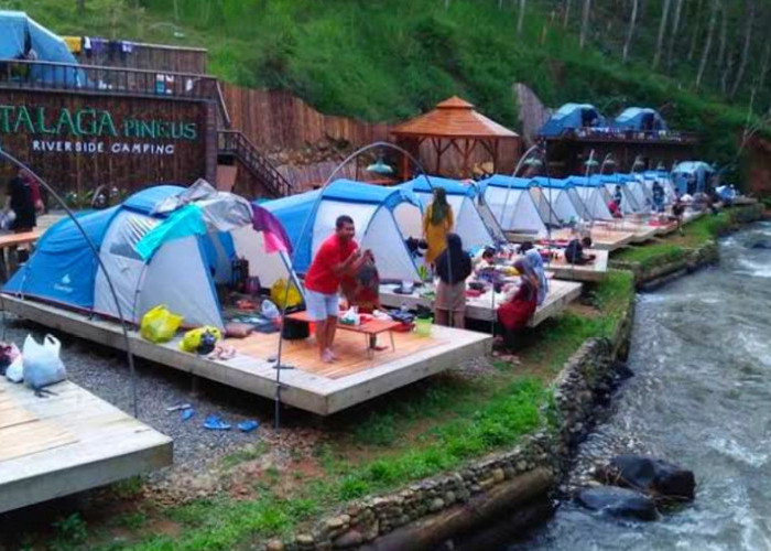 Bikin Mata Nggak Berkedip! 5 Rekomendasi Tempat Camping di Bandung Paling Populer