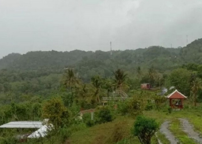 Sejumlah Investor Tertarik Agrowisata Bukit Dermo, Pemkab Bantul Akan Menawarkan Kerja Sama Operasional