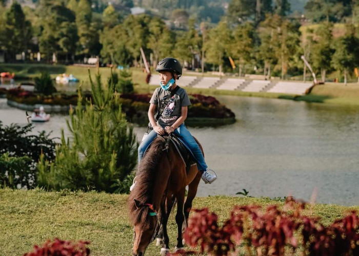 Menikmati Aktivitas Seru Wisata Terbaru 2024 Branchsto Ganesha Lembang, Menunggang Kuda Hingga Panahan