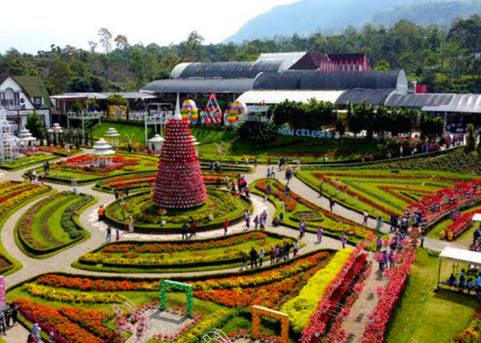 Wisata Terbaru 2024 Taman Bunga Celosia: Simak Daya Tarik, Fasilitas dan Tiket Masuk