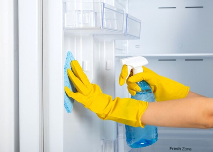 Jangan Sampai Kotor, Berikut Cara Membersihkan Freezer Merek Kulkas Terbaik Dengan Benar