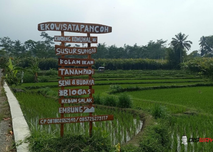 Ekowisata Pancoh, Potensi Wisata Edukasi Desa yang Tumbuh Bersama Kebersamaan Masyarakat