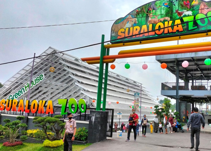 Rekomendasi Liburan Keluarga di Suraloka Zoo; Destinasi Wisata Terbaru 2025