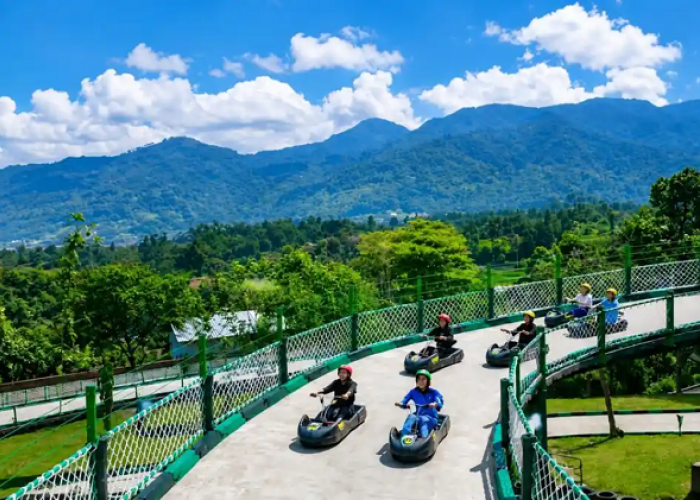 Budget Liburan Seru di Puncak di Go Luge, Cek Syarat dan Cara Reservasi Terbarunya
