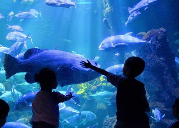 Rekomendasi Terbaik Menjelajahi Pesona Jakarta yang Gak Ada Habisnya, Cek Info Selengkapnya Berikut Ini