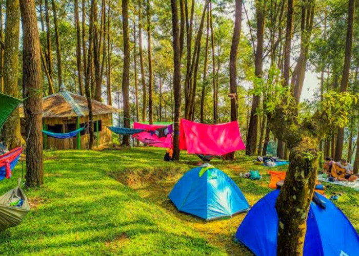 Hobi Camping? Inilah 3 Destinasi Wisata Terbaru 2024, Glamping Paling Populer di Kuningan