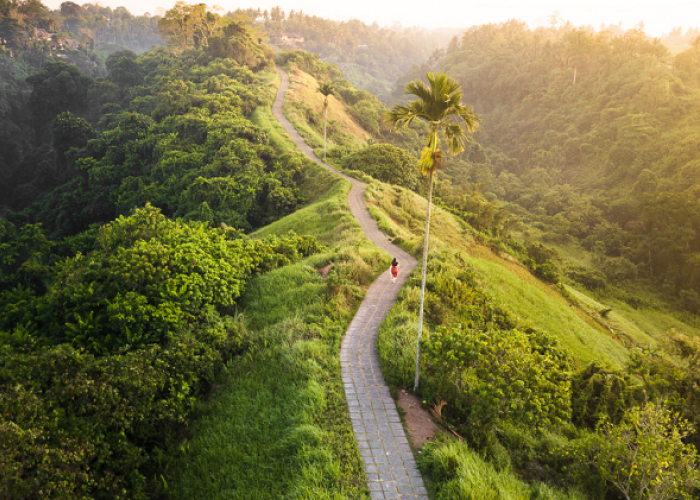 Destinasi Ikonik di Ubud Eksklusif Mulai Dari Olahraga Sampai Warisan Sejarah