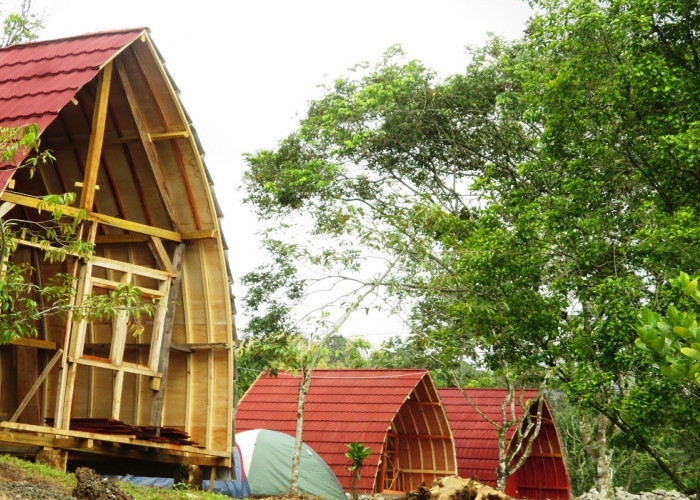 Tawarkan Sensasi Liburan Paling Tenang, Berikut 6 Destinasi Wisata Seru di Wonosalam Tahun 2025