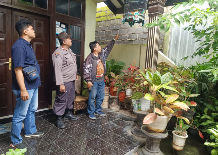 Digantung di Teras Rumah, Burung Murai Batu Rp150 Juta Digasak Maling di Bantul