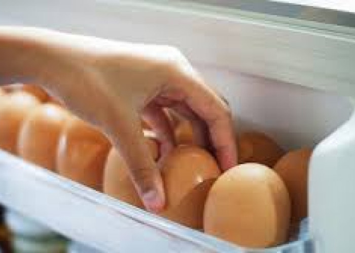 Tips Menyimpan Telur Dalam Merek Kulkas Terbaik Dengan Baik dan Benar
