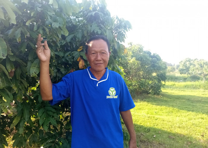 Filosofi Empat 'Guru' dari Petani Seyegan untuk Masa Depan Pertanian Indonesia