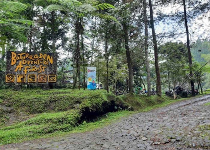 Ragam Destinasi Wisata Baturaden: Berlibur dengan Suansana Sejuk dan Pemandangan Indah Cek Infonya Disini