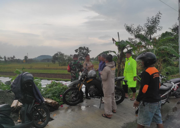 Petir Sambar Gubuk Sawah di Seyegan Sleman, Dua Buruh Tani Meninggal Dunia
