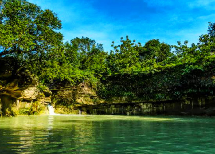 Sajikan Pengalaman Menarik, Berikut Wisata Terbaru 2024 Bojonegoro yang Miliki Banyak Spot Fotografi Keren!