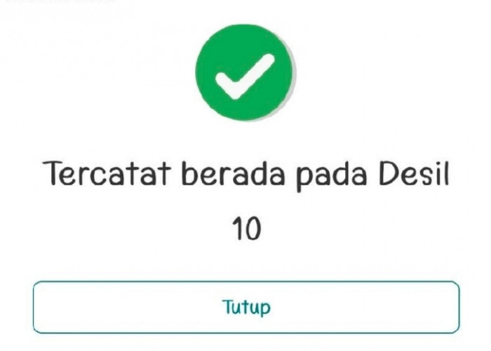 Ramai Warga Kaget Masuk Desil 9-10, BPS Jelaskan Cara Penentuan DTSEN