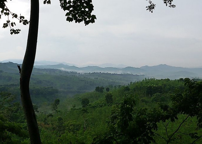 Berikut Rekomendai 5 Wisata di Sidomulyo yang Cocok Jadi Tempat Ngabuburit, Suasana Asyik dengan View Memikat
