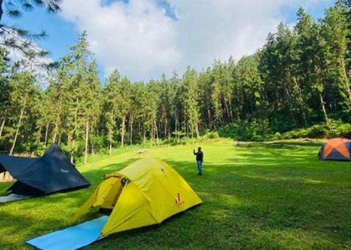 Suka Camping? Ini 3 Rekomendasi Wisata Terbaru 2024 Camping di Tegal! Nikmati Petualangan Terbaik