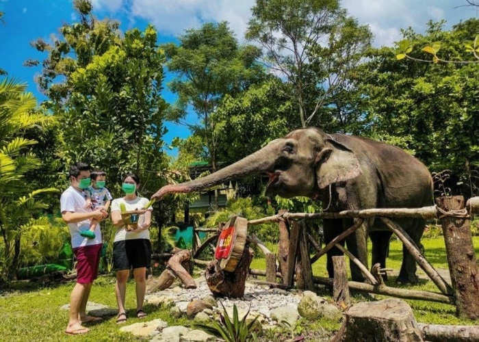 Destinasi Favorit Keluarga, Rekomendasi Wisata Terbaru 2024 Kebun Binatang Yogyakarta Simak Lokasi dan HTM-nya