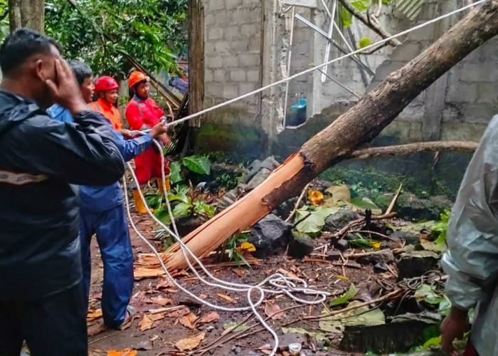 BPBD DIY Ingatkan Waspada Cuaca Ekstrem, Gunungkidul Jadi Wilayah Paling Terdampak