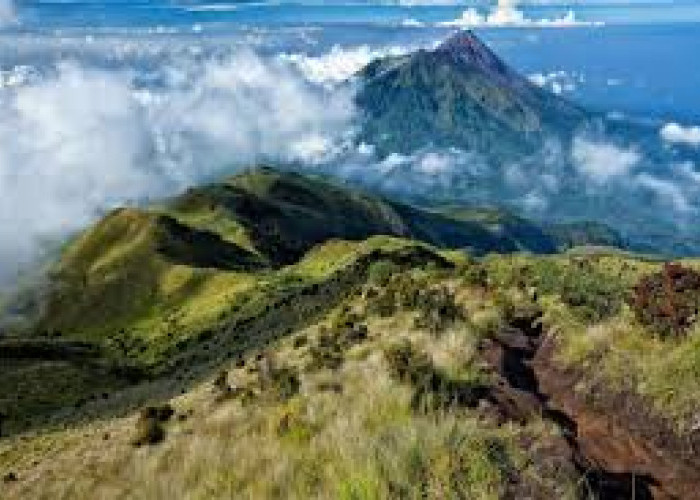 Wisata Bukit Turgo Plawangan Kompleks Batuan Merapi Tua, Jejak Sejarah dan Pesona Alam yang Menawan