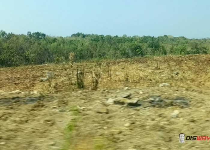 Yogyakarta Dilanda Panas Terik, Warga yang Beraktivitas di Luar Ruangan Diminta Waspadai Dehidrasi