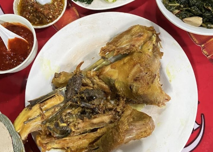 Mantap Puas! Inilah 5 Ayam Goreng Enak di Jogja dengan Bumbu Rempah Juara