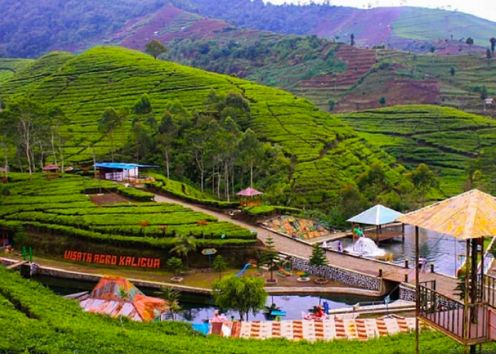 Pesona Tersembunyi Transformasi Destinasi di Jalur Pantura Brebes Paling Berkesan Tak Terlupakan