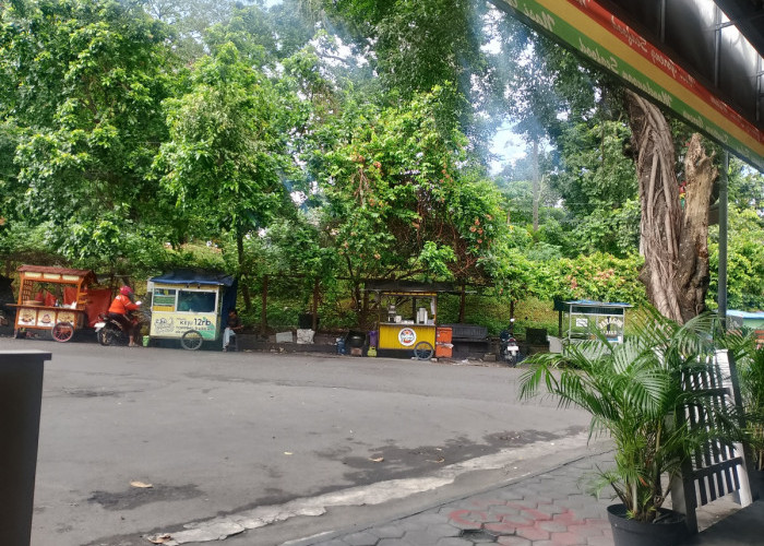 Jelang Nataru, Sleman Kebut Pembenahan Jalan Utama Progres Fisik Tembus 99 Persen