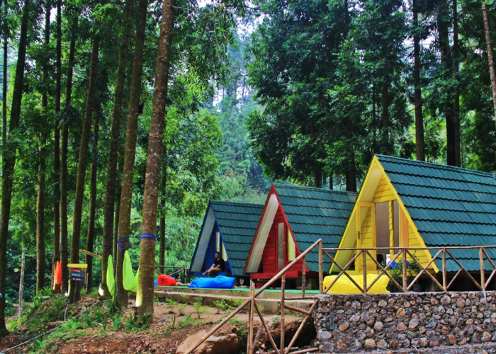 6 Destinasi Wisata Camping Seru di Bogor, Tawarkan Lanskap Alam Indah dan Menyegarkan
