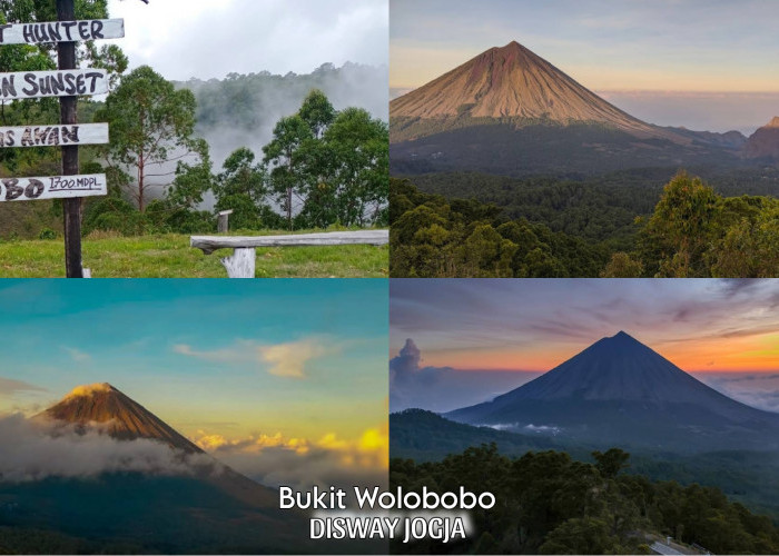 Wisata Terbaru 2024 di Kabupaten Ngada? Bukit Wolobobo Spot Terbaik Sunrise dan Sunset, Pemandangannya Indah